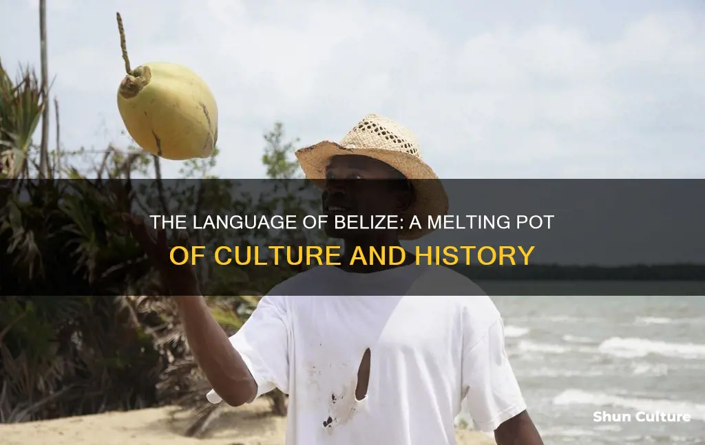 is belize language