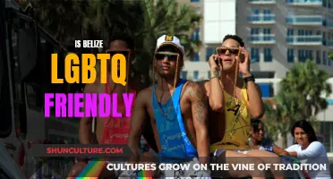 Belize's LGBTQ+ Friendliness: A Comprehensive Overview