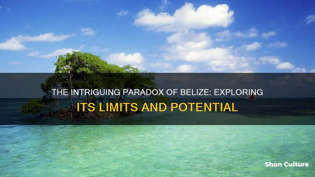 is belize limited or unlimited