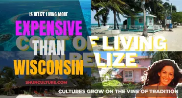 The Cost of Paradise: Comparing the Expense of Living in Belize and Wisconsin