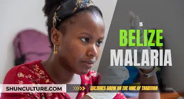 Belize's Malaria Mystery: Unraveling the Country's Unique Health Challenge