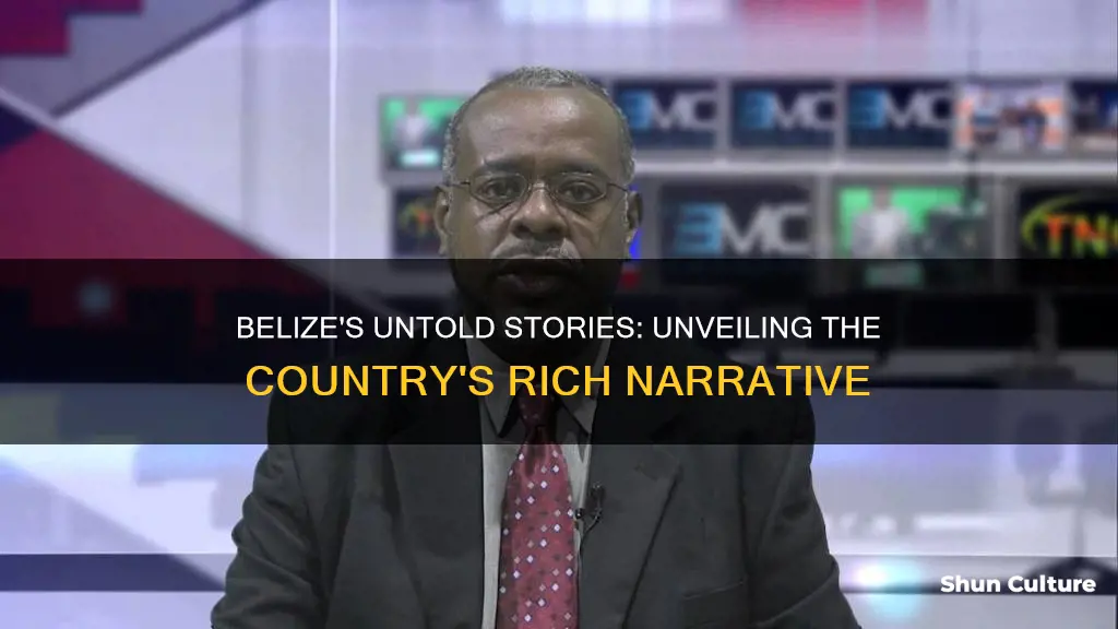 is belize media stories