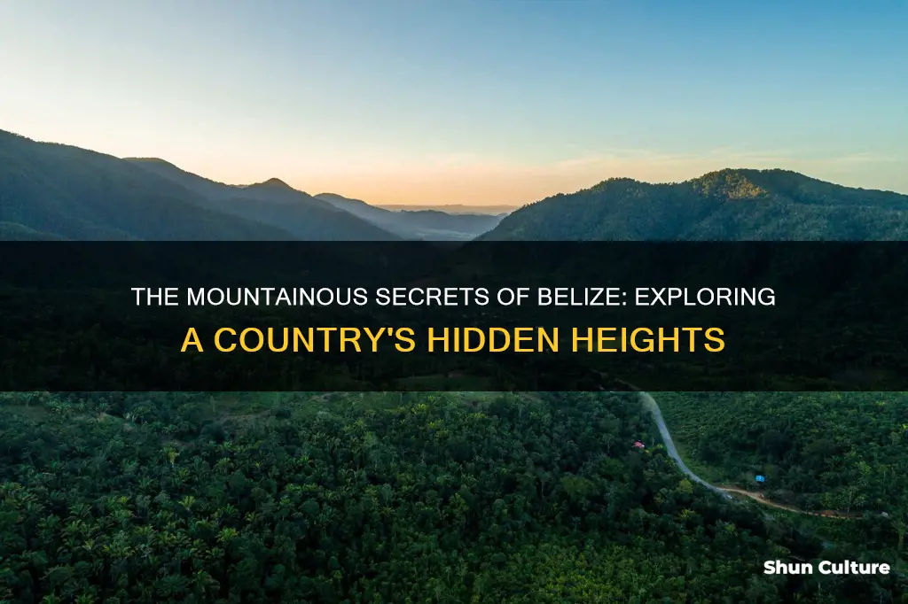 is belize mountainous