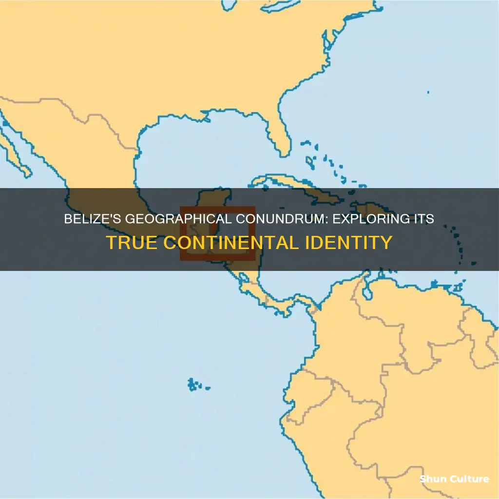 is belize on south amaeria continents