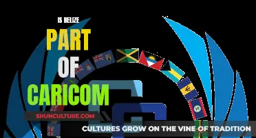 Belize's CARICOM Membership: Understanding the Relationship