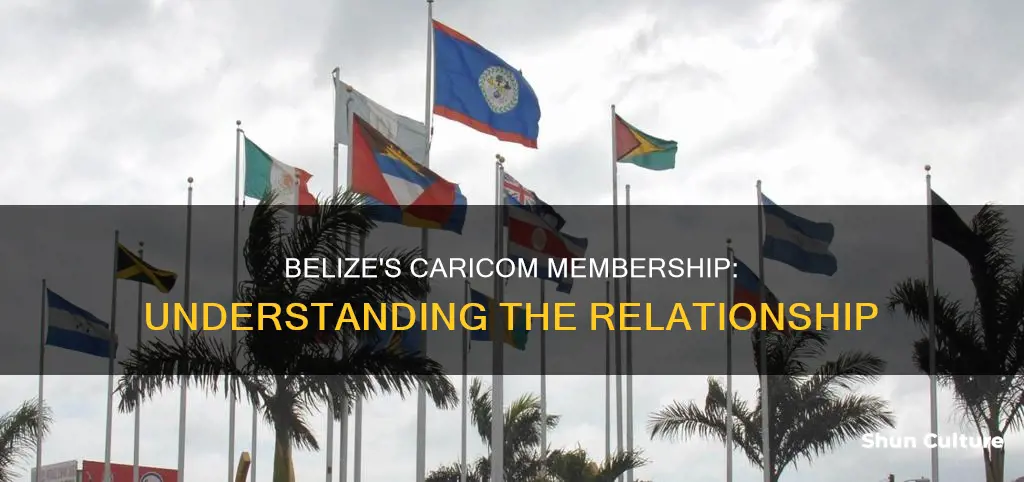 is belize part of caricom