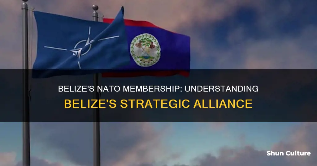 is belize part of nato