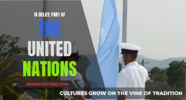 Belize's United Nations Membership: Understanding Belize's Role in the UN