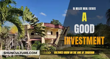 Belize Real Estate: A Smart Investment Move?