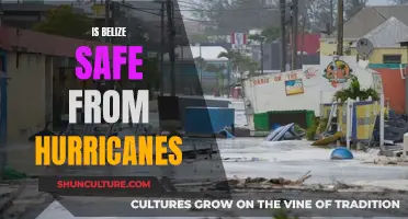 Belize's Hurricane Haven: Nature's Safe Harbor