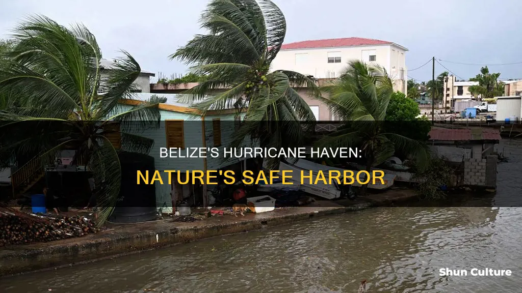 is belize safe from hurricanes