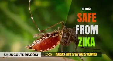 Belize's Battle Against Zika: Understanding the Risks and Realities