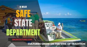 Belize: Navigating Safety Concerns with State Department Insights