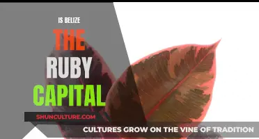 Belize: The World's Ruby Capital?