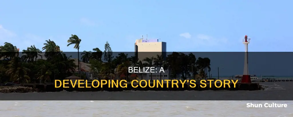 is belize third world