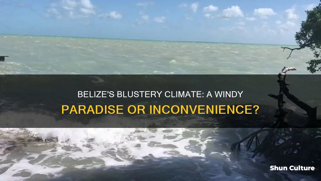 is belize very windy