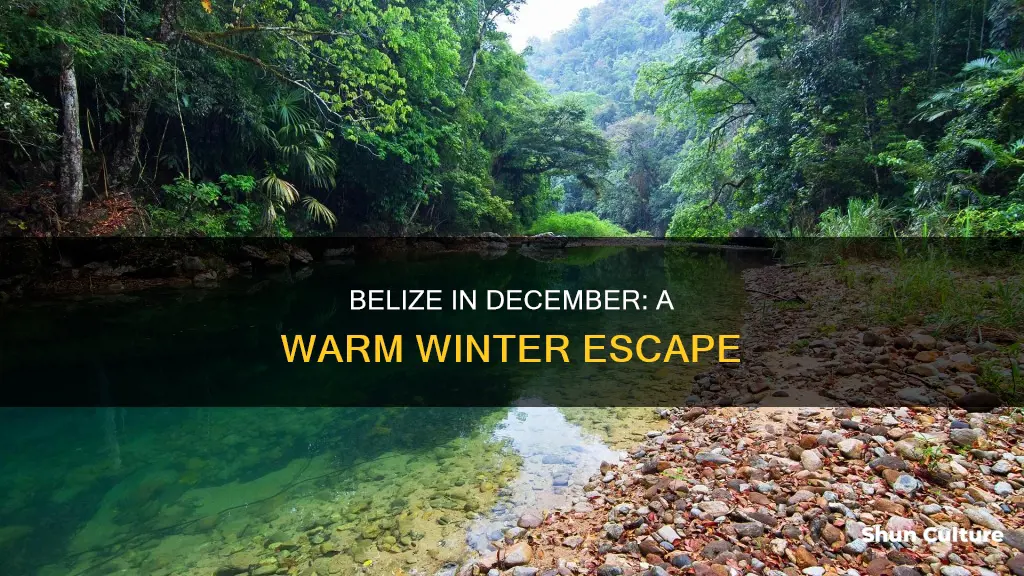 is belize warm in december