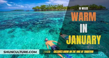 Belize in January: A Tropical Escape From Winter Blues