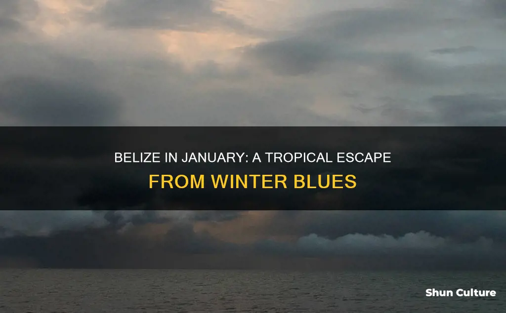 is belize warm in january