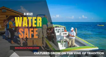 Belize's Water Safety: Understanding the Risks