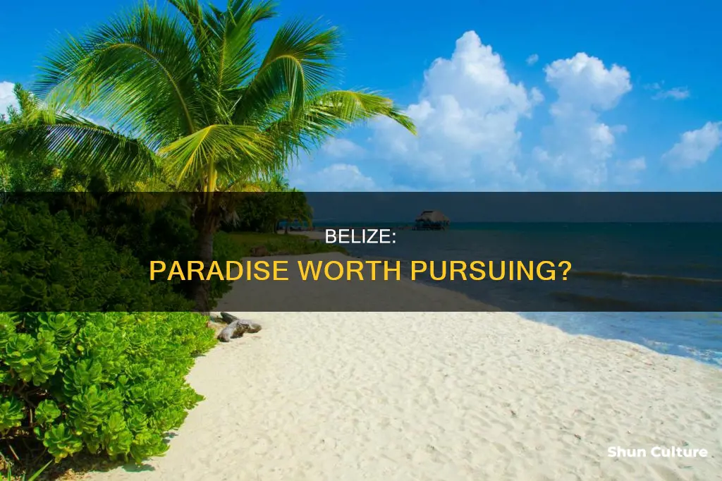 is belize worth it