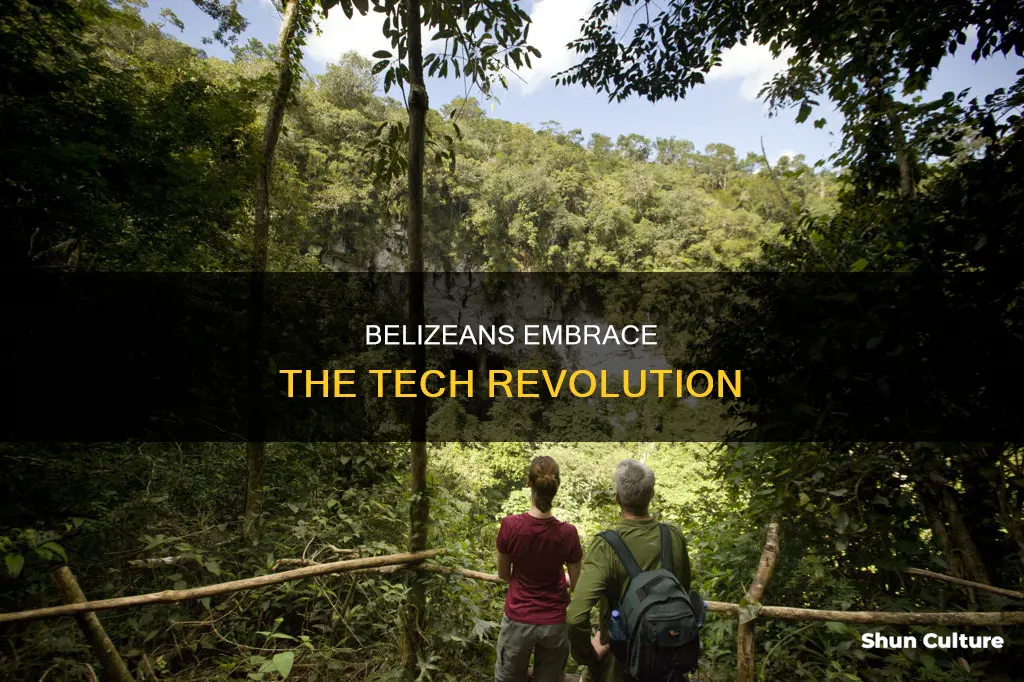 is belizean into technology