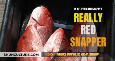 Belizean Red Snapper: A True Red Snapper or a Fishy Tale?