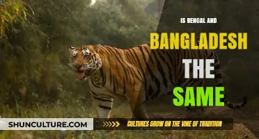 Bengal vs. Bangladesh: Unraveling the Historical and Cultural Differences