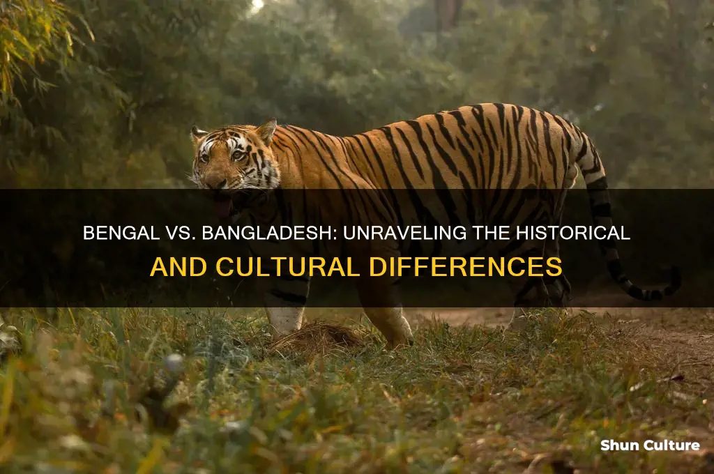is bengal and bangladesh the same