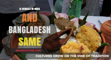 Bengali in India vs. Bangladesh: Language, Culture, and Identity Compared