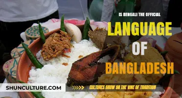 Is Bengali the Official Language of Bangladesh? Exploring the Facts