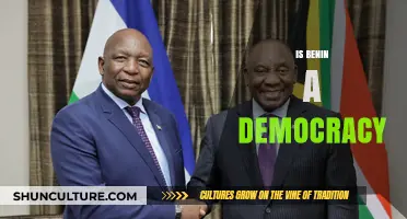 Exploring Benin's Democratic Landscape: A Comprehensive Analysis