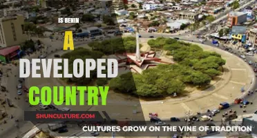 Exploring Benin's Development Status: Facts, Figures, and Future Prospects