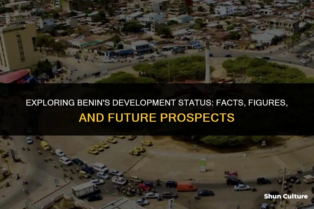 is benin a developed country