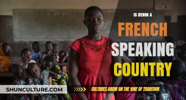 Exploring Linguistic Diversity: Is Benin a French-Speaking Country?