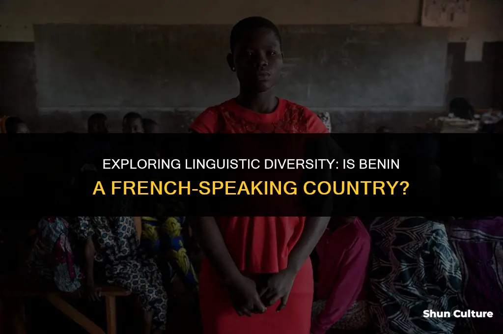 is benin a french speaking country