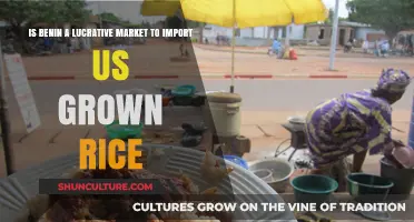 Exploring Benin: A Lucrative Market for US-Grown Rice Imports?