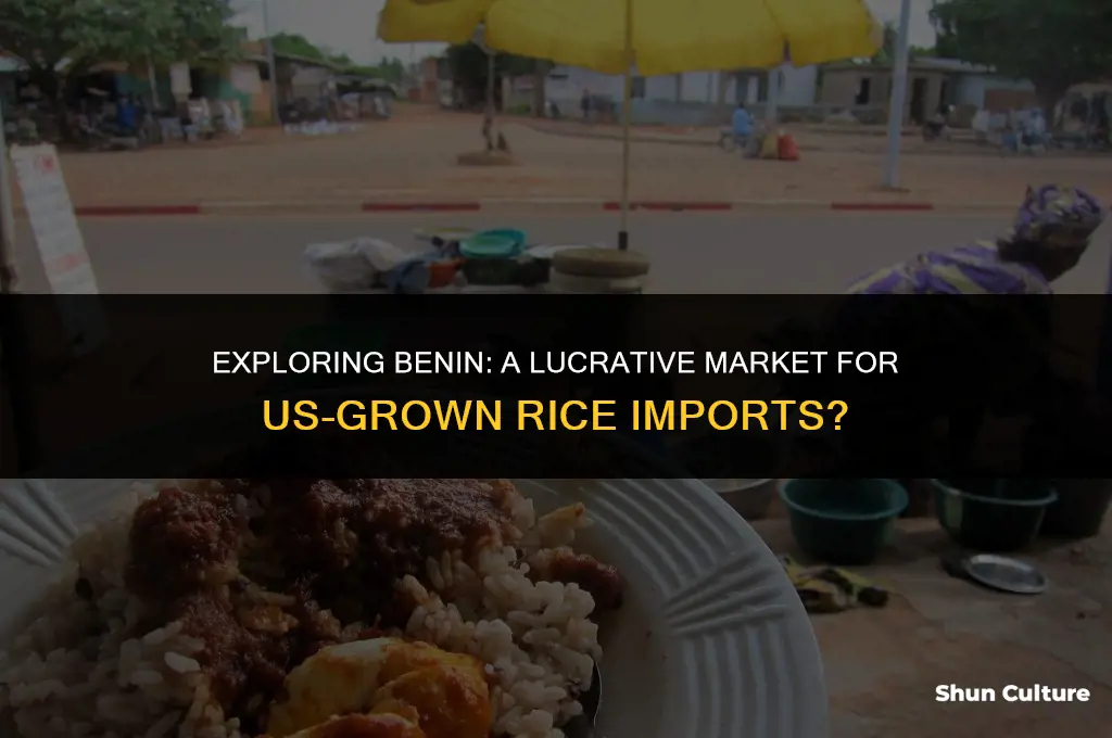 is benin a lucrative market to import us grown rice