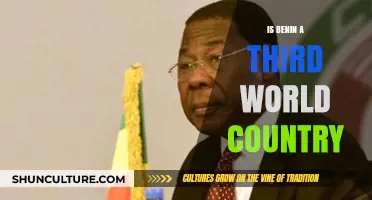Exploring Benin's Economic Status: A Third World Country Analysis