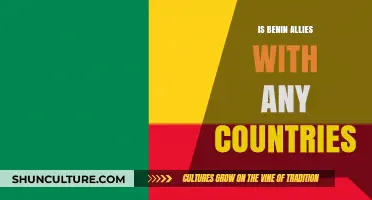 Exploring Benin's International Relations: Allies and Partnerships