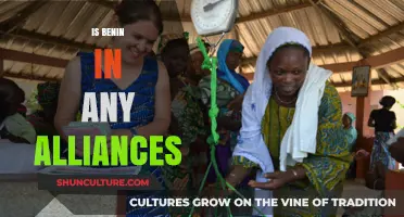Benin's Global Alliances: A Comprehensive Overview