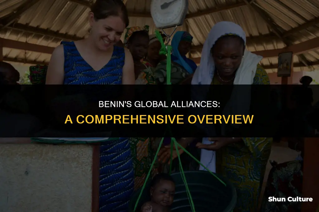 is benin in any alliances