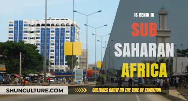 Exploring Benin's Place in the Sub-Saharan African Landscape