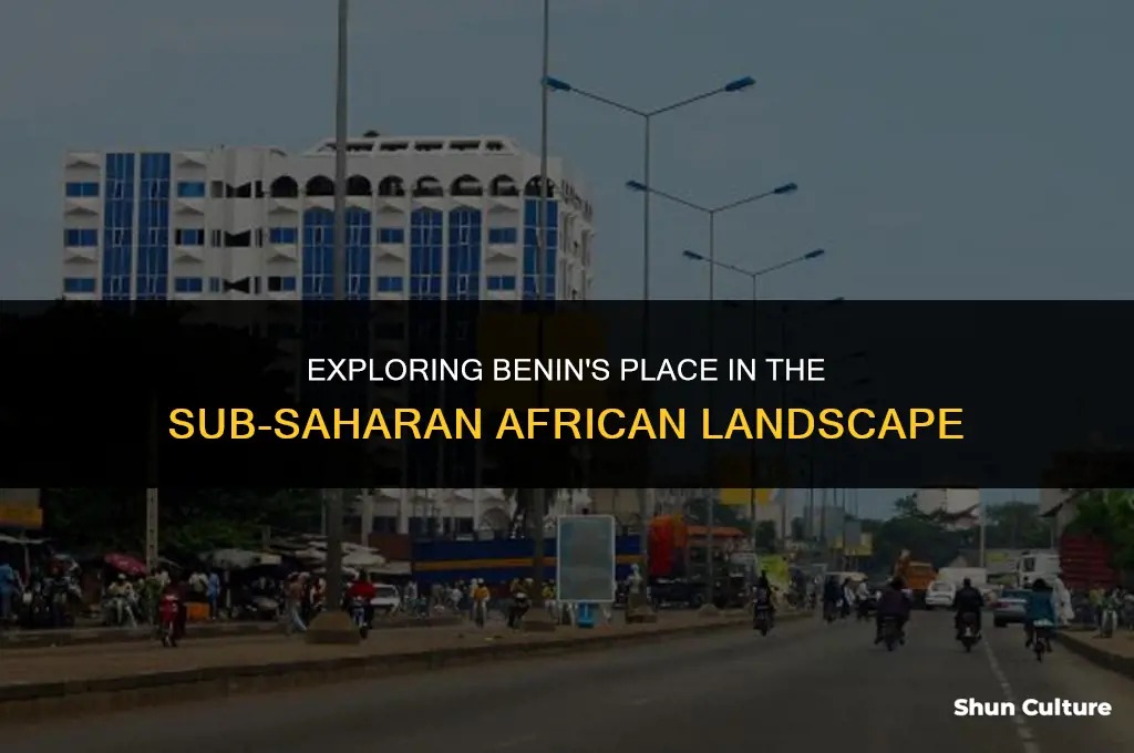 is benin in sub saharan africa