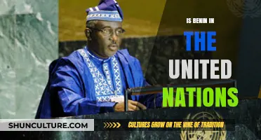 Benin's Role and Contributions in the United Nations