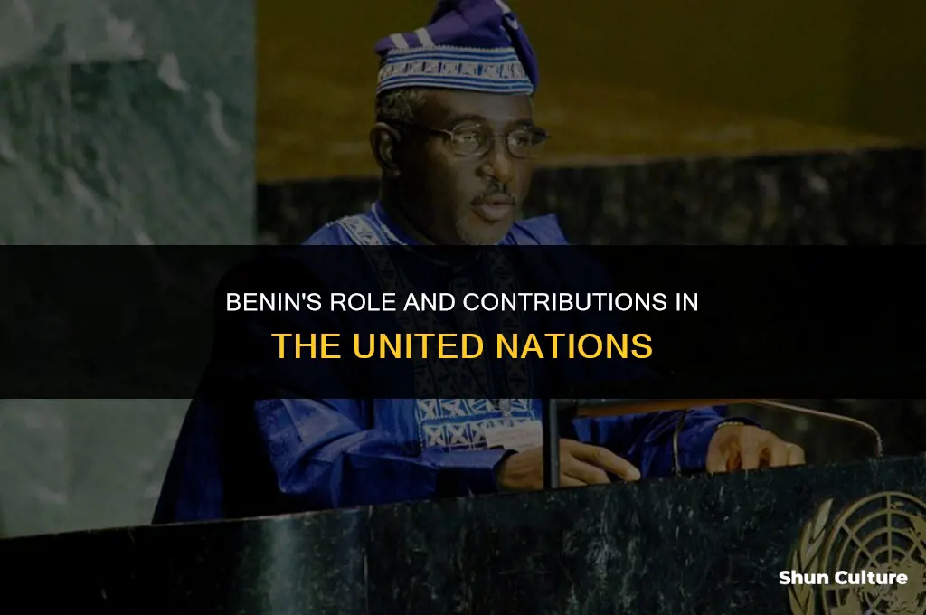 is benin in the united nations