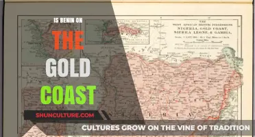 Exploring Benin's Coastal Riches: A Gold Coast Gem?