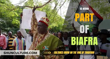 Exploring Historical Ties: Benin's Connection to Biafra Unveiled