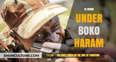 Boko Haram's Influence in Benin: A Growing Concern?