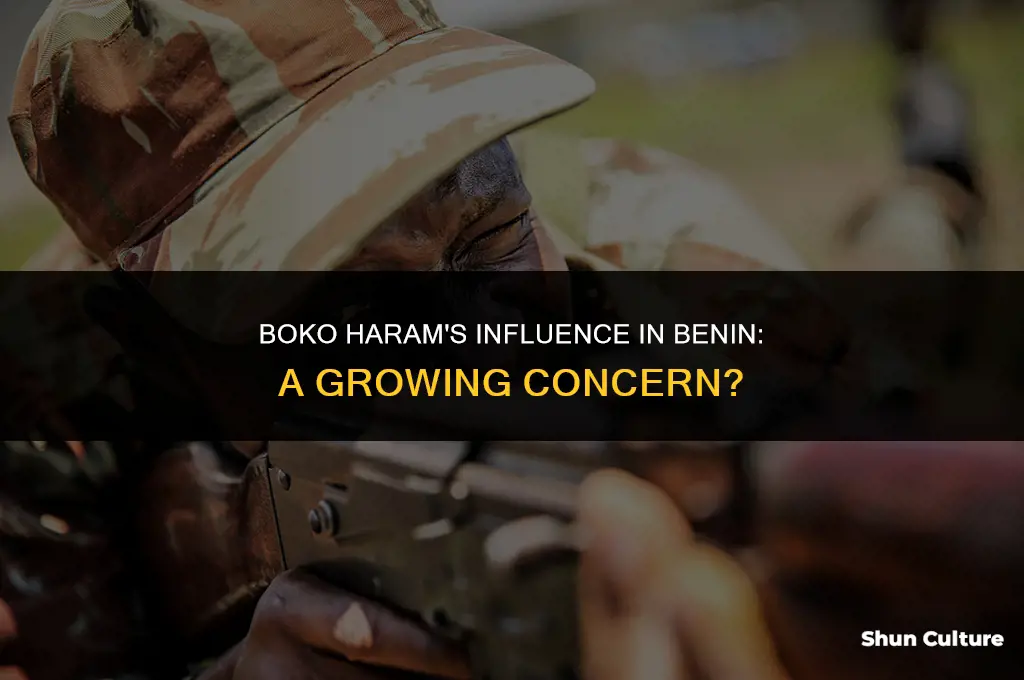 is benin under boko haram